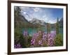 Emerald Lake, Yoho National Park, UNESCO World Heritage Site, British Columbia, Rocky Mountains, Ca-Martin Child-Framed Photographic Print