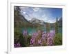 Emerald Lake, Yoho National Park, UNESCO World Heritage Site, British Columbia, Rocky Mountains, Ca-Martin Child-Framed Photographic Print