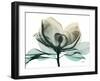 Emerald Magnolia 2-Albert Koetsier-Framed Photographic Print