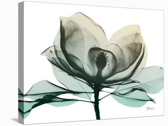 Emerald Magnolia 2-Albert Koetsier-Stretched Canvas