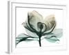 Emerald Magnolia 2-Albert Koetsier-Framed Photo