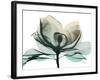 Emerald Magnolia 2-Albert Koetsier-Framed Photo