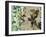 Emerald Nature 1-Matina Theodosiou-Framed Art Print