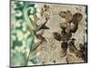 Emerald Nature 1-Matina Theodosiou-Mounted Art Print