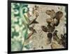 Emerald Nature 1-Matina Theodosiou-Framed Art Print