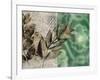 Emerald Nature 2-Matina Theodosiou-Framed Art Print