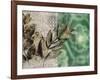 Emerald Nature 2-Matina Theodosiou-Framed Art Print