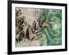 Emerald Nature 2-Matina Theodosiou-Framed Art Print