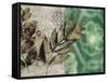 Emerald Nature 2-Matina Theodosiou-Framed Stretched Canvas