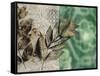 Emerald Nature 2-Matina Theodosiou-Framed Stretched Canvas