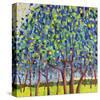 Emerald Orchard-Jean Cauthen-Stretched Canvas