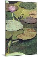 Emerald Pond-Allan Friedlander-Mounted Art Print