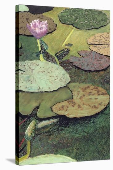 Emerald Pond-Allan Friedlander-Stretched Canvas