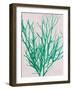 Emerald Sea I-Henry Bradbury-Framed Art Print