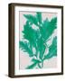 Emerald Sea III-Henry Bradbury-Framed Art Print