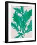 Emerald Sea III-Henry Bradbury-Framed Art Print