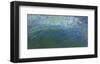 Emerald Sea-Margaret Juul-Framed Art Print