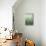 Emerald Sky II-Jennifer Goldberger-Stretched Canvas displayed on a wall