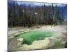 Emerald Spring, Green Colour Caused by Blue Water and Yellow Sulphur, UNESCO World Heritage Site-Robert Francis-Mounted Photographic Print