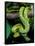 Emerald Tree Boa-David Northcott-Framed Stretched Canvas