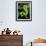 Emerald Tree Boa-David Northcott-Framed Photographic Print displayed on a wall