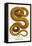 Emerald Tree Boa-Albertus Seba-Framed Stretched Canvas