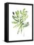 Emerald Tropics III-null-Framed Stretched Canvas