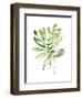 Emerald Tropics III-null-Framed Art Print