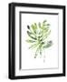 Emerald Tropics III-null-Framed Art Print