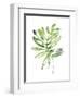 Emerald Tropics III-null-Framed Art Print