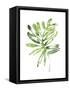 Emerald Tropics III-null-Framed Stretched Canvas