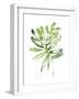 Emerald Tropics III-null-Framed Art Print