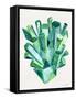 Emerald Watercolor-Cat Coquillette-Framed Stretched Canvas