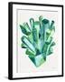Emerald Watercolor-Cat Coquillette-Framed Giclee Print