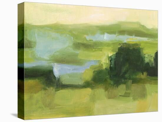 Emerald Wetlands I-Ethan Harper-Stretched Canvas