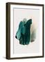 Emeraldgreen-Djaheda Richers-Framed Giclee Print