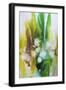 Emeraude Ombre Recadree-Sylvie Demers-Framed Giclee Print