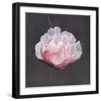 Emergence, 2015-Helen White-Framed Giclee Print