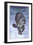 Emerging Beauty-Karie-Ann Cooper-Framed Giclee Print