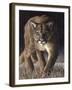 Emerging (Cougar)-Molly Sims-Framed Giclee Print