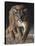 Emerging (Cougar)-Molly Sims-Stretched Canvas