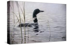 Emerging Loon-Wilhelm Goebel-Stretched Canvas