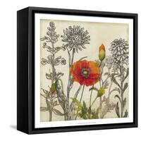 Emerging Poppy-Megan Meagher-Framed Stretched Canvas