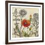 Emerging Poppy-Megan Meagher-Framed Art Print