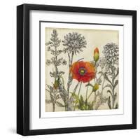 Emerging Poppy-Megan Meagher-Framed Art Print