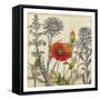 Emerging Poppy-Megan Meagher-Framed Stretched Canvas