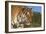 Emerging-Susann Parker-Framed Photographic Print