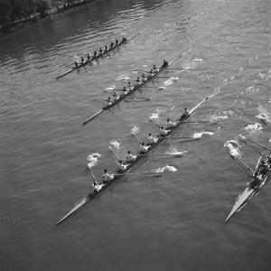 Feher Emeric Wall Art At Allposters Com