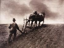 Winter's Morning from Field and Fen, c.1887-Emerson Peter Henry-Stretched Canvas