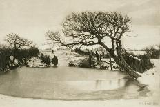 Winter's Morning from Field and Fen, c.1887-Emerson Peter Henry-Stretched Canvas